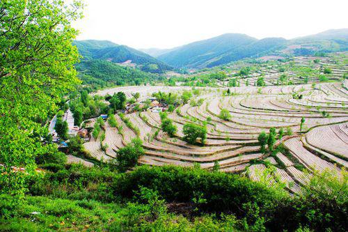 宜君梯田