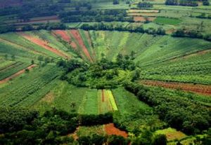 海口石山火山群國家地質公園