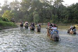 拉克西米 拉克西米