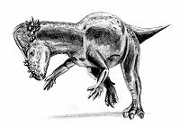 厚頭龍科 厚頭龍科