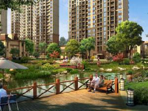 百樂廣場 百樂廣場