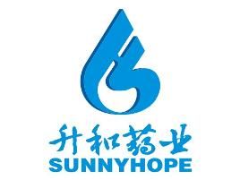 四川升和 四川升和