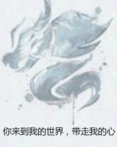 你來到我的世界，帶走我的心