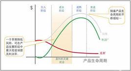 生命周期 生命周期