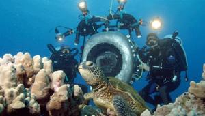 《深深的海洋》