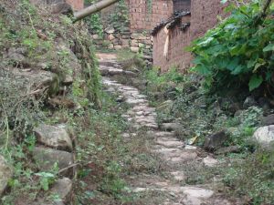 文下自然村 文下自然村