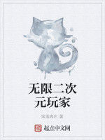 無限二次元玩家 無限二次元玩家