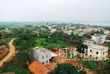 芒海村[廣東省湛江市徐聞縣芒海村]