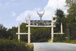 雄嘎苗寨 雄嘎苗寨