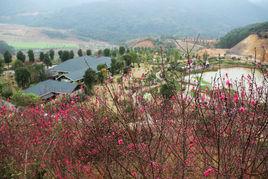 地壓資源 地壓資源