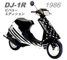 DJ1R