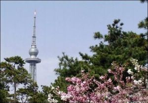 電視塔環島公園 電視塔環島公園