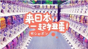 扭蛋文化 扭蛋文化