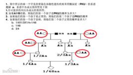 哈溫平衡 哈溫平衡