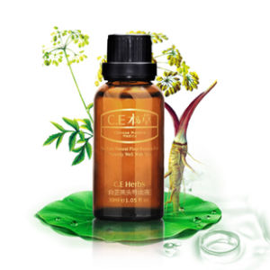 白芷黑頭導出液 白芷黑頭導出液