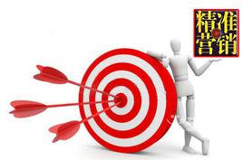 精準行銷[市場行銷方式]