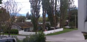 特瑞斯怪響的視頻場景