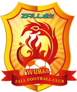 武漢卓爾職業足球俱樂部 武漢卓爾職業足球俱樂部