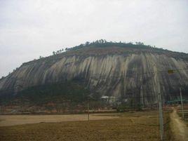 封開大斑石 封開大斑石