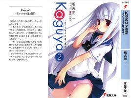 月兔的銀色方舟 月兔的銀色方舟