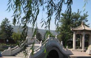 舟曲翠峰山 舟曲翠峰山