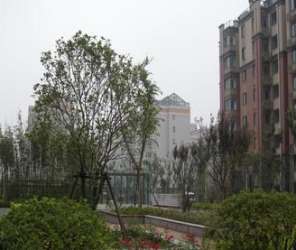 聯盟新城二期 聯盟新城二期