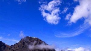 天地園農莊 天地園農莊