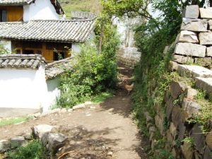 董家自然村 董家自然村