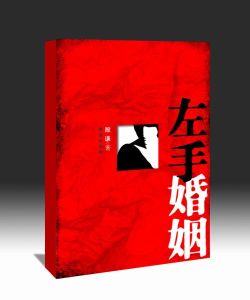 《左手婚姻》 《左手婚姻》