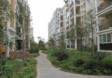 人信&middot;陽光青年城