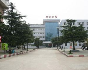 湖北省醫藥學校 湖北省醫藥學校
