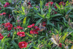 2014年9月16日拍攝