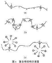 活性聚合 活性聚合