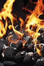 高位發熱量 高位發熱量