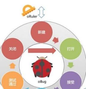 軟體缺陷 軟體缺陷