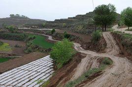 四合村村 四合村村