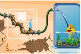 接水管養金魚 接水管養金魚