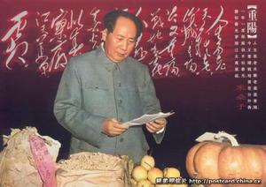 《採桑子·重陽》 《採桑子·重陽》