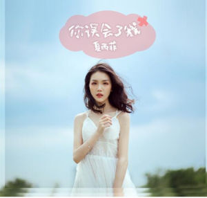 你誤會了我 你誤會了我