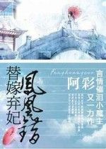 鳳凰錯:替嫁棄妃 鳳凰錯:替嫁棄妃