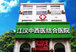 武漢市中西醫結合醫院