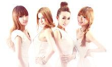 新寵兒組合（第二代）