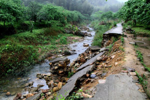 銘躍農家 銘躍農家