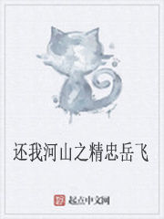 還我河山之精忠岳飛