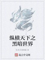 縱橫天下之黑暗世界 縱橫天下之黑暗世界