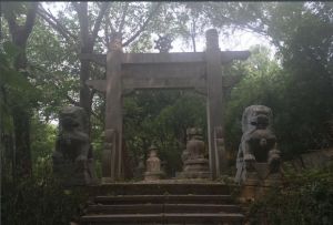 菊花台公園 菊花台公園