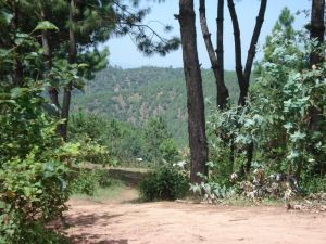 扎母路村 扎母路村