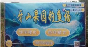 牙山果園釣魚場 牙山果園釣魚場