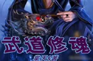 武道修魂 武道修魂