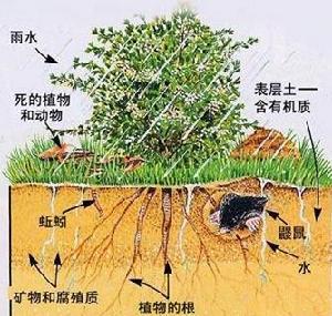 （圖）《土地荒漠化監測方法》